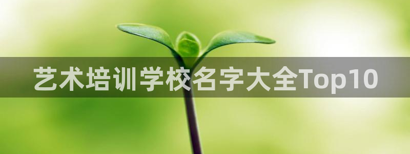 龙8游戏官方进入