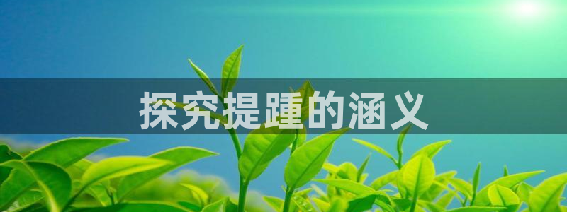 龙八国际娱乐在线游戏