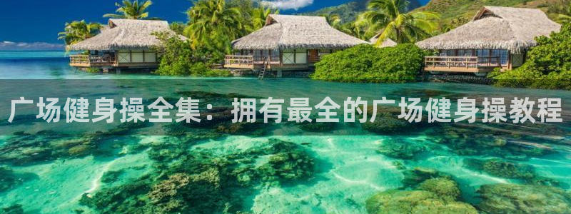 龙8国际-注册
