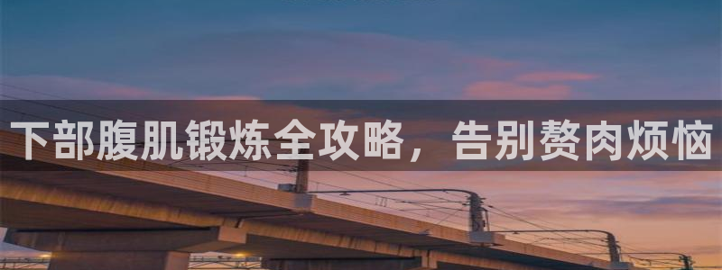 龙 八国际