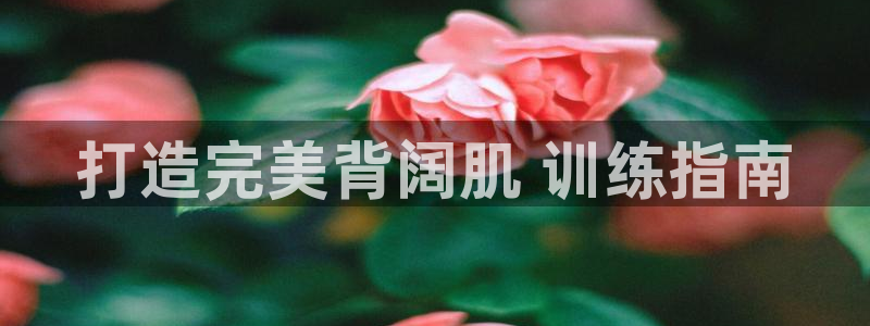 龙8国际客服