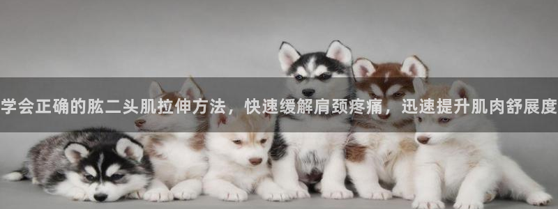 龙8国际平台官网