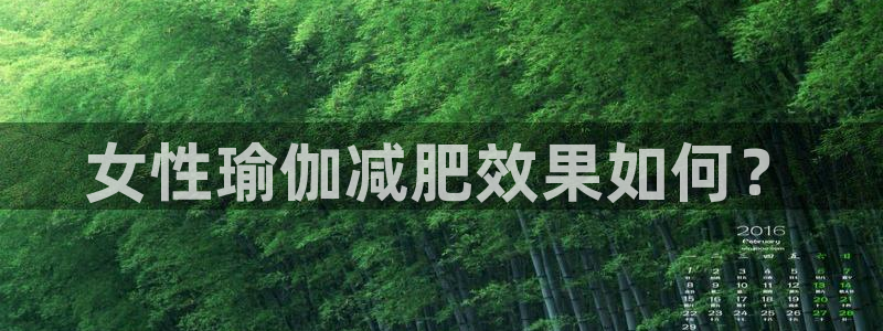 龙8国际游资如何