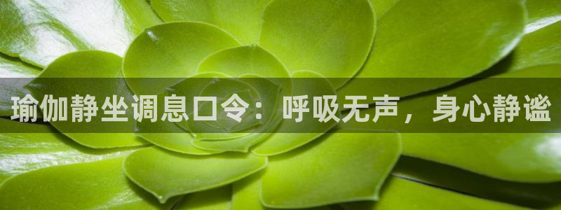 龙8游戏官方网站登录