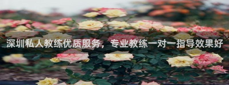 龙8国际头号玩家是谁