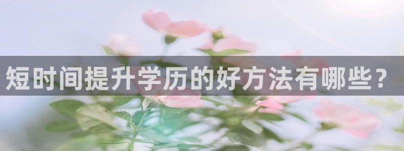龙8国际老虎机电子