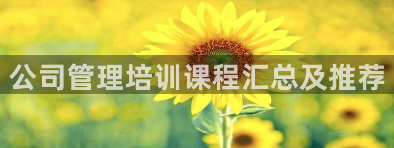 龙8国际pt