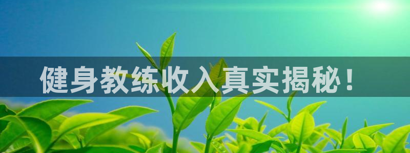 龙八国际pt