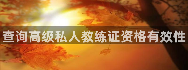 龙八国际娱乐官方网站