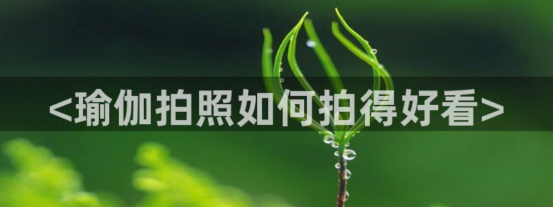 龙8国际官网版