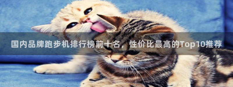 龙8国际官网-手机点此进入