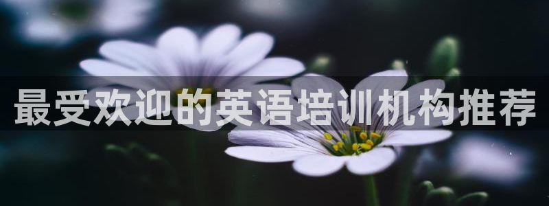 龙8国际的漏洞