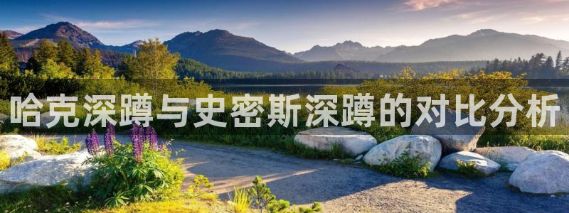 龙8国际long88(中国)官方网站