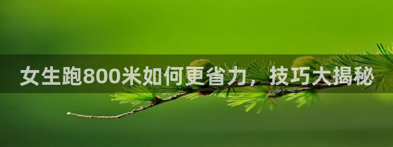 下载龙8国际
