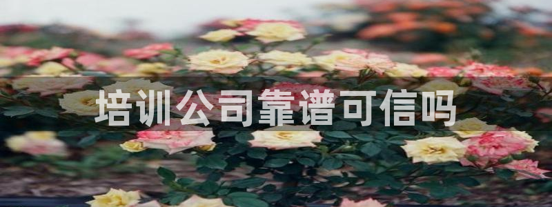 龙8国际提现