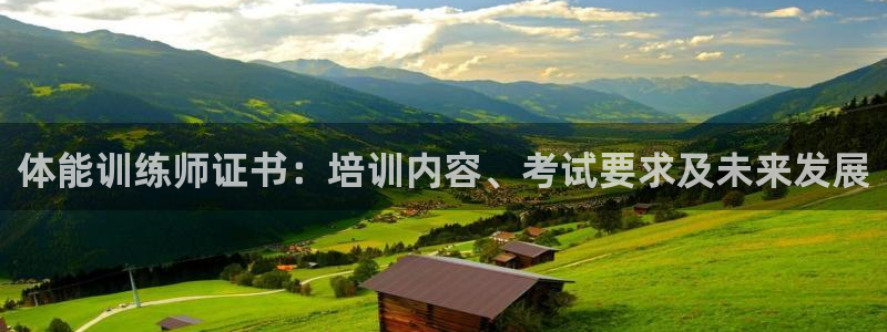 龙八国际官网下载