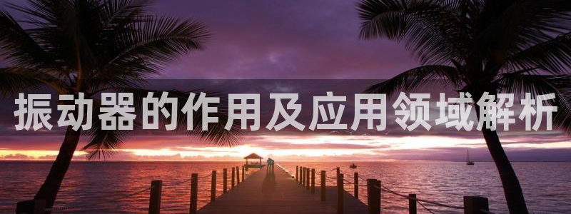 龙八国际pt