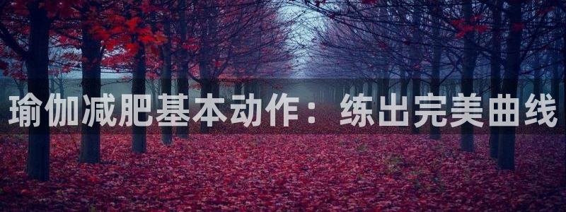 龙8国际游戏
