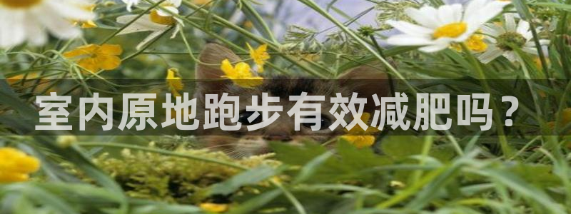 龙8国际手机官网下载安装
