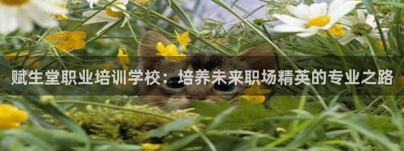 龙8国际龙8官方网站