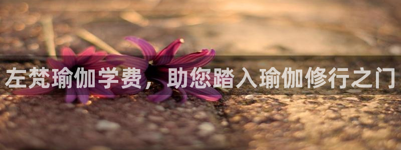 龙8游戏城网址