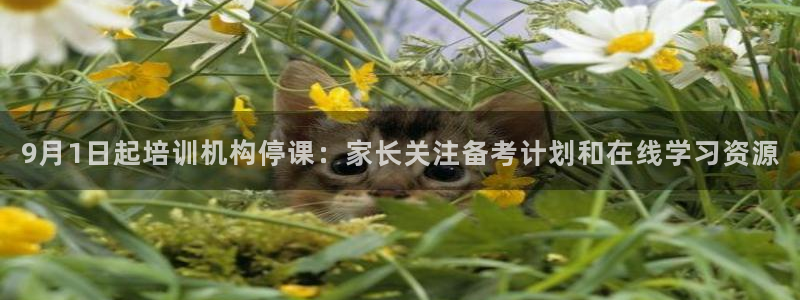 龙8国际被侦破了吗