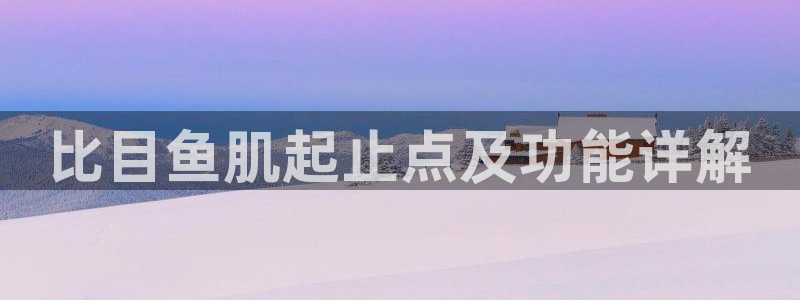 龙8国际官方网址