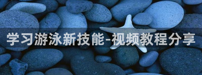龙8国际安卓版版