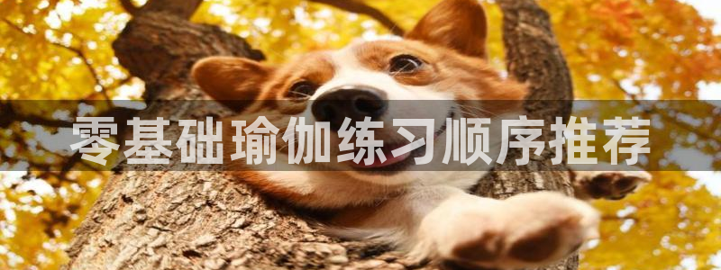 龙8国际最新官网