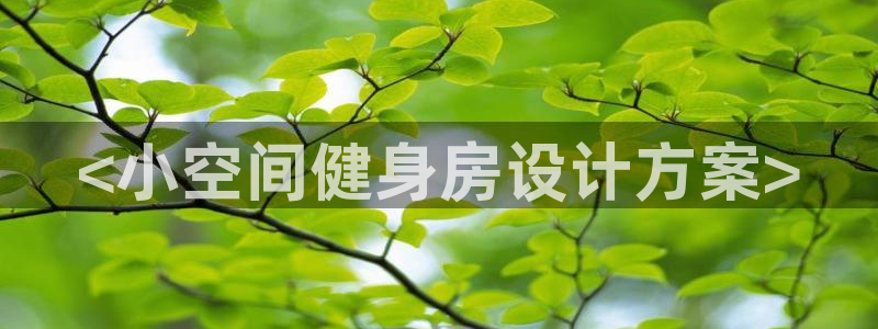国际龙8hk