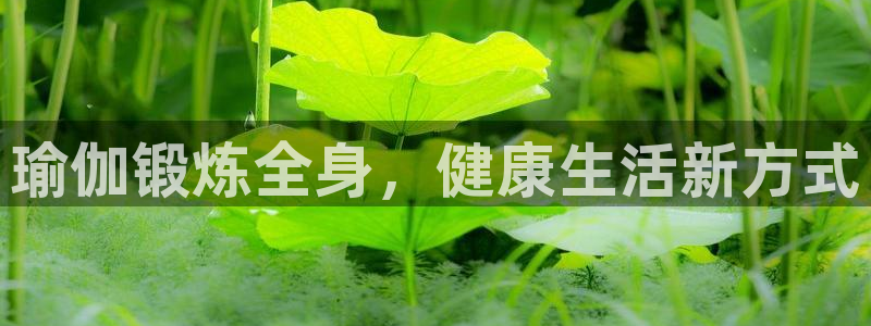 龙8国际官方网页