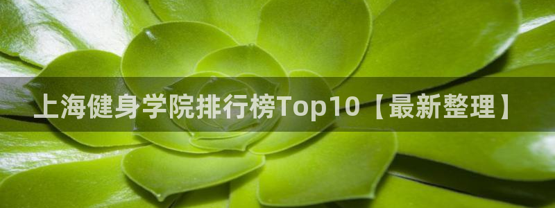 龙8老虎机游戏网站多少