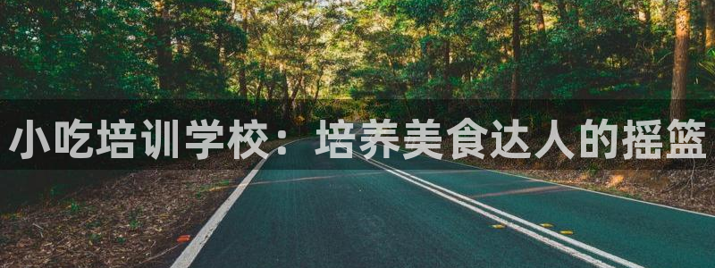 龙8官网游戏