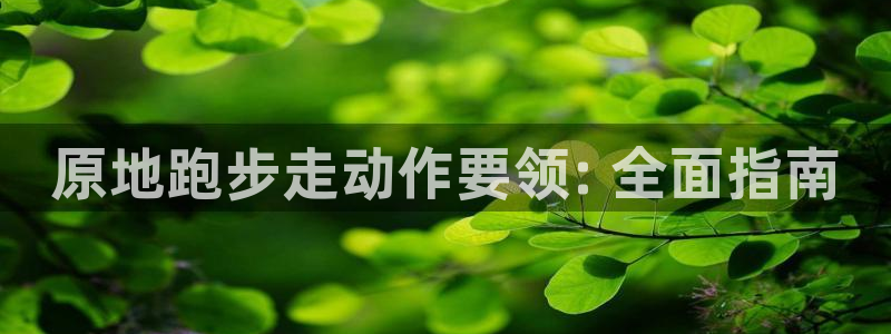 龙8国际平台