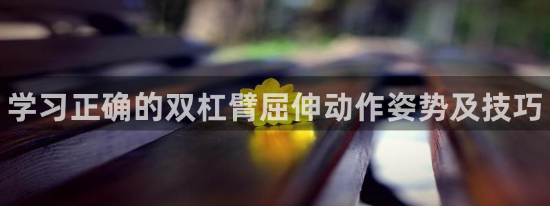 龙八国际网页