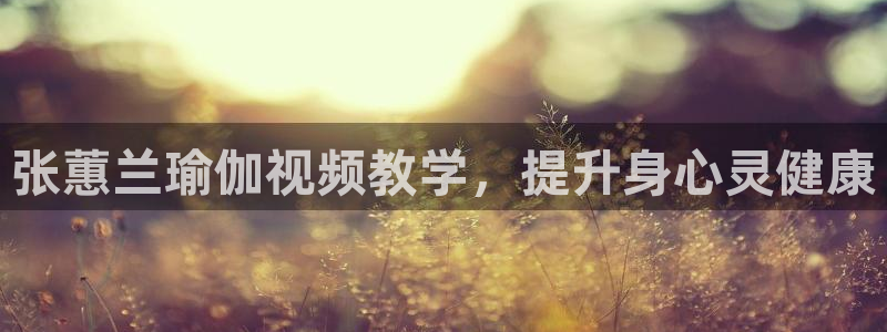下载龙八国际
