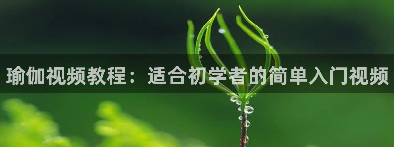 龙8国际游戏娱乐