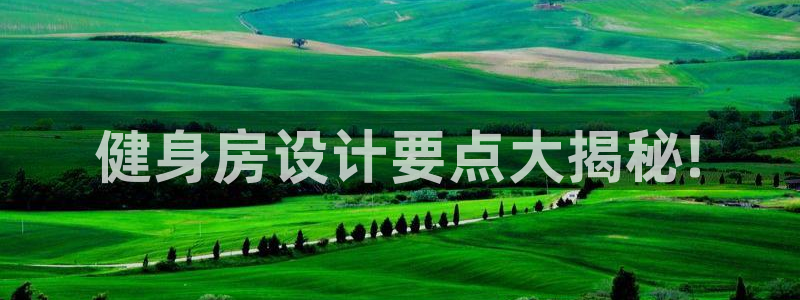 龙8国际服