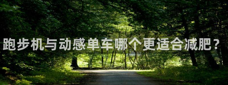 龙8国际官方网站