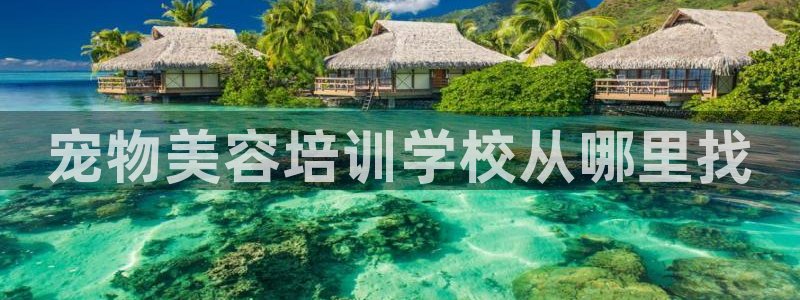 龙8全新客户端安卓版