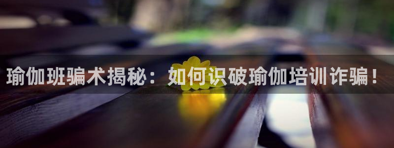龙8国际手机登