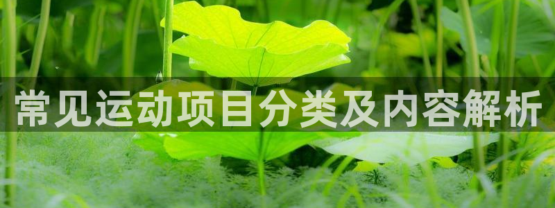 龙8国际是不是黑网