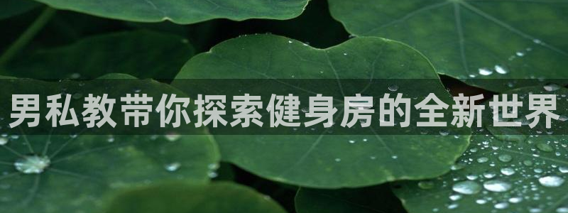 龙8国际官网下载地址
