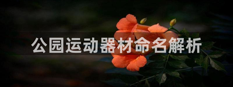 龙8国际老虎机官方