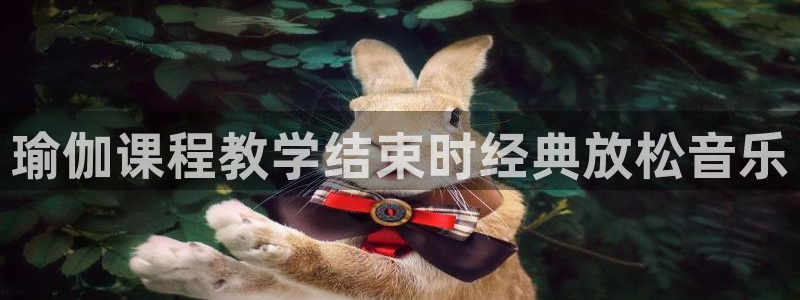 龙八国际pt