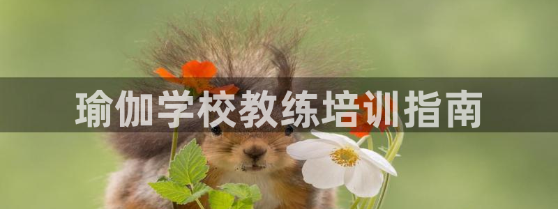 龙8国际黑吗