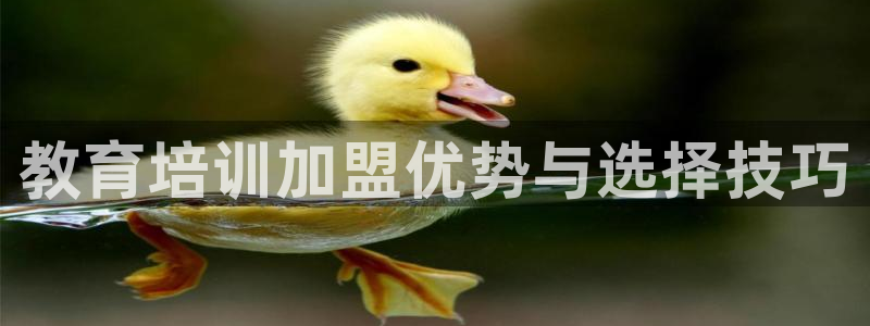 龙八国际娱乐网页多少