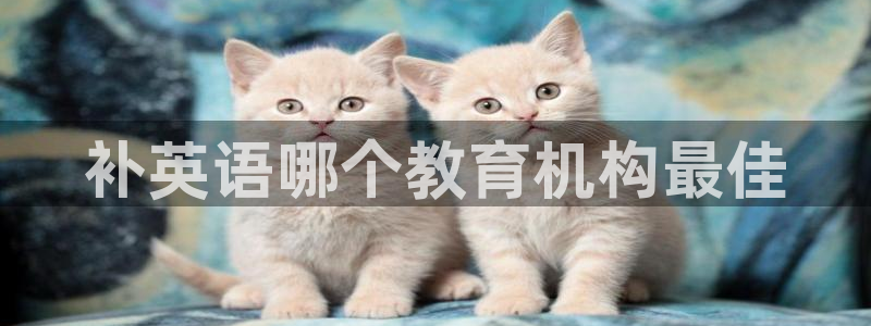 龙8国际官网下载