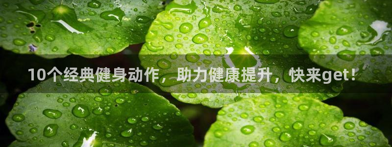 龙8国际app客户端下载不了