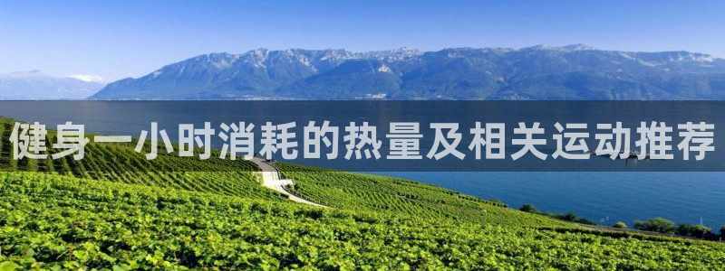 龙8国际中国唯一官方网站